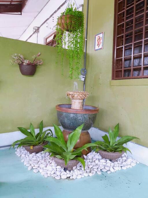 Syukur Homestay איפוה מראה חיצוני תמונה